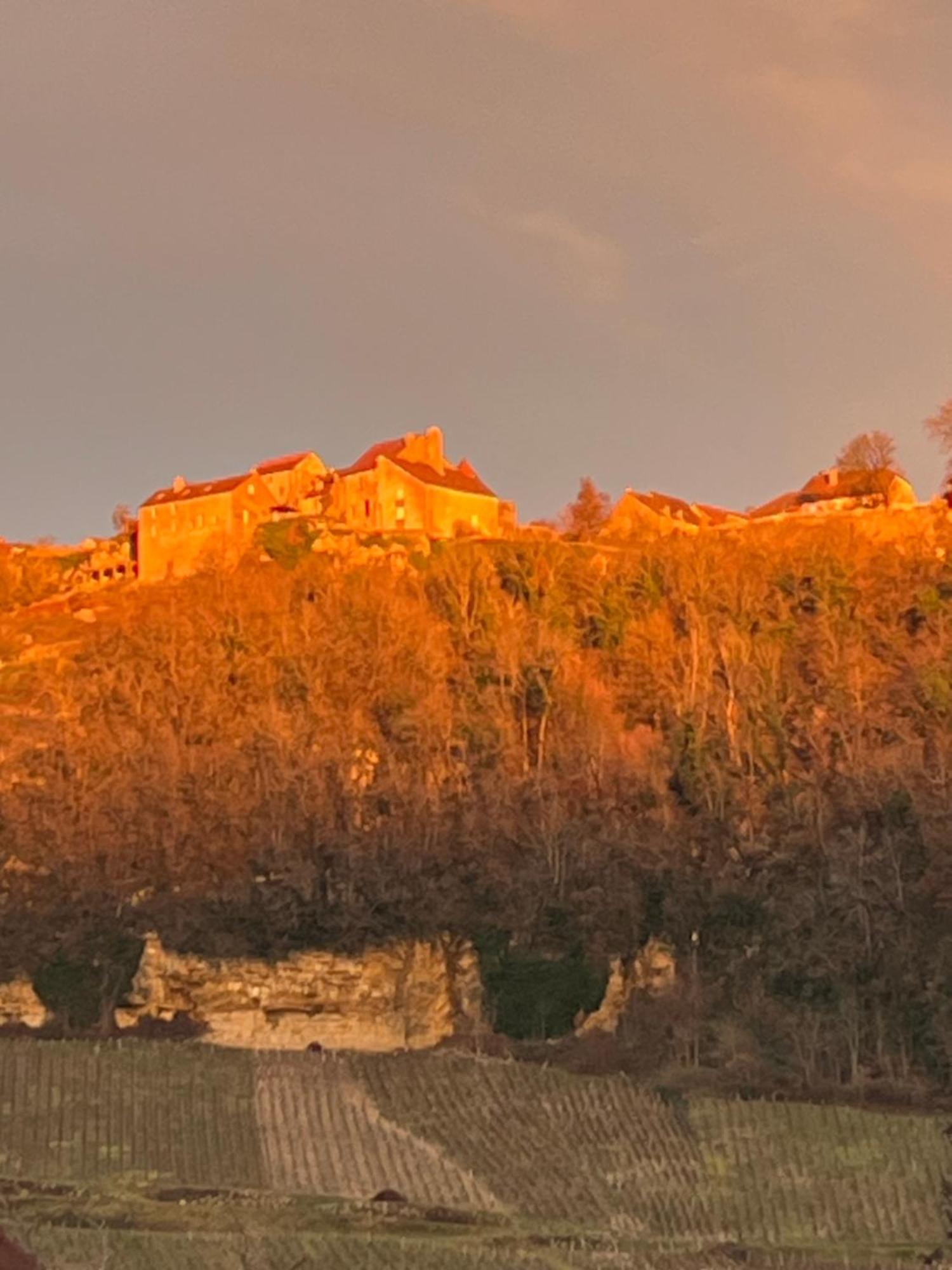Gite Le Magnolia Voiteur Экстерьер фото